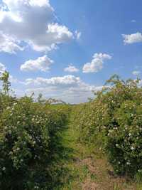 gallery-photo-21