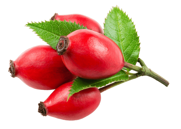 rosehip-hero-image
