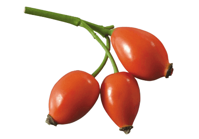three-rosehips