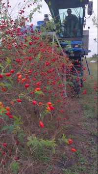 gallery-photo-18
